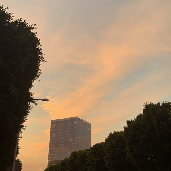 Meet your Posher, Sophia - Picture 1 of 1